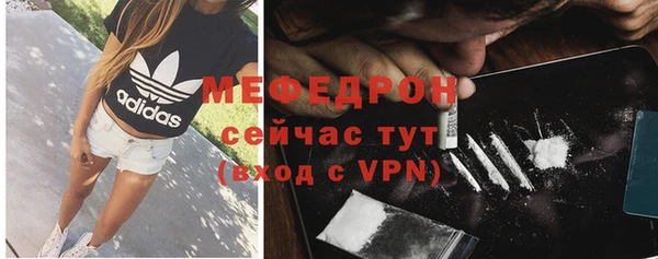 хмурый Аркадак