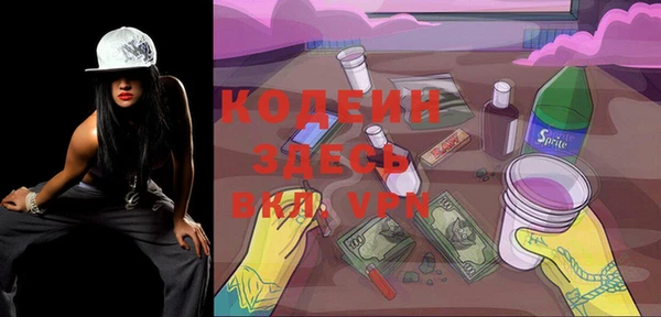 хмурый Аркадак