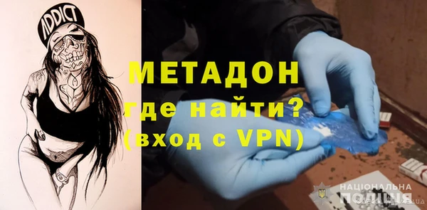 хмурый Аркадак