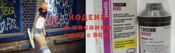 хмурый Аркадак