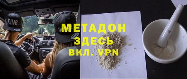 хмурый Аркадак