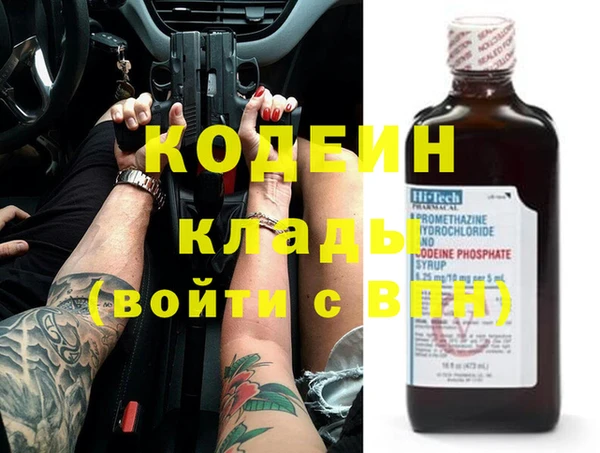 хмурый Аркадак