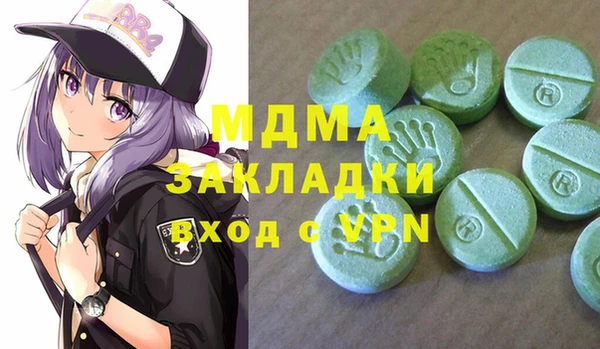 хмурый Аркадак