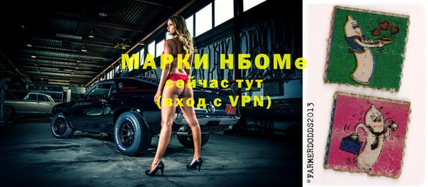 хмурый Аркадак