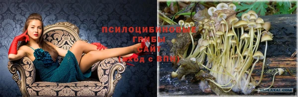 мяу мяу мука Армянск