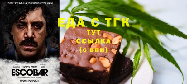 хмурый Аркадак